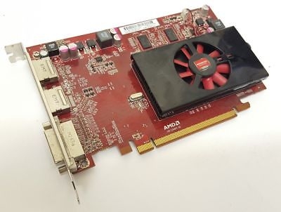 AMD Carte Graphique ATI Radeon HD6570 - 1 Go ATI-102-C24602(B)