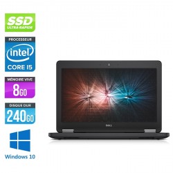 Dell Latitude E5250 - Windows 10