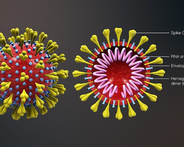 représentation 3D du virus Covid-19