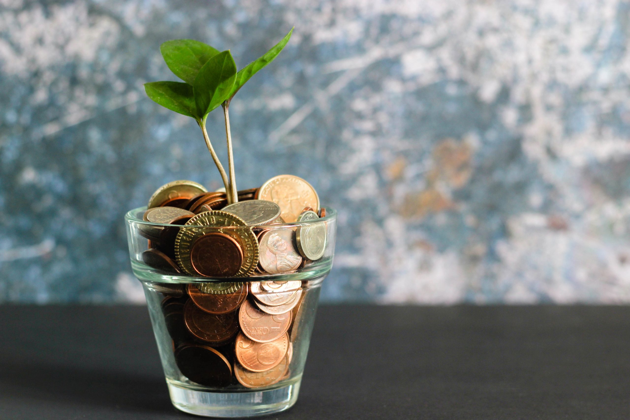 Budget symbolisé par une plante et des centimes